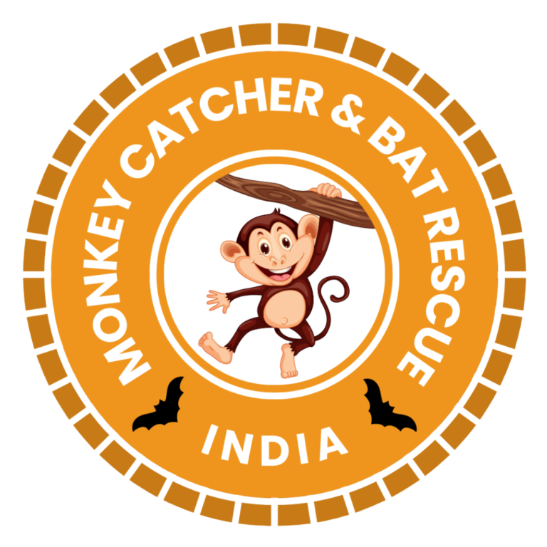 monkey-catcher-all-india-monkey-catcher-helpline