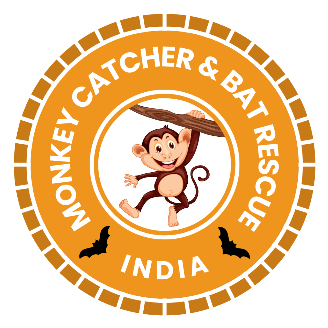 Monkey Catcher Helpline Near Me